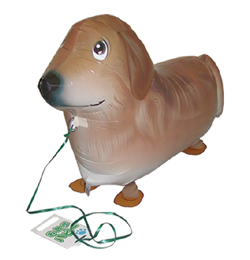 Chodiaci balón - Zlatý Retriever