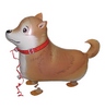 Chodiaci balón - Shiba-Inu