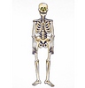 Dekorácia kostra na Halloween